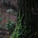 제주 방선문 이미지