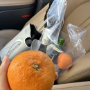 오프너 마켓 이미지