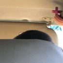 찌주의 2019년 10월 넷째주 일상