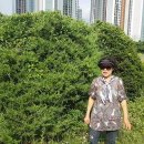 김향자