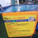 와우A오션뷰&수영장펜션 네이버블로그
