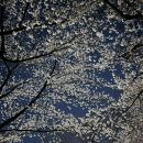 미쳐날뛸 창 노래방 | 4월