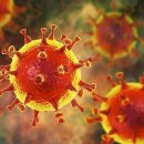 헤럴드보습학원 이미지