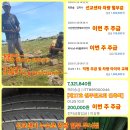 할렐루야타이어 티스토리