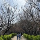 완산체육공원 화장실 이미지