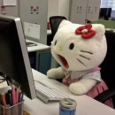 락앤롤데이