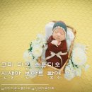 구미 다온 스튜디오 신생아 본아트 사진 촬영 후기