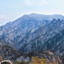 황태마을 이미지