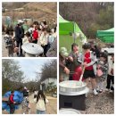 부귀리벗꽃 이미지