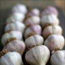 장해농장 이미지