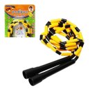 운동초교 이미지