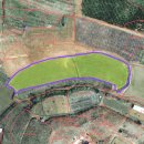 천안토지 25.5억-구룡동- 1,416 x3.3㎡ 답 자연녹지지역 개발예정지역 투자용 천안투자용토지매매 이미지