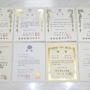용인대 엘리트 태권도 이미지