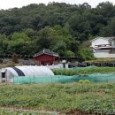 발산리마을회관 이미지