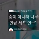 지성소프트 이미지