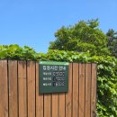 푸른푸릇 이미지