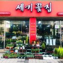 세기꽃집