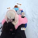 대관령 느린마을 | 대관령 눈썰매장 눈꽃마을 준비물 / 아이와 강릉 겨울여행 코스