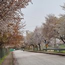 문산배수펌프장 이미지