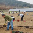 내동면시민텃밭 이미지