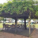 오투스토리 캠핑장 이미지