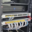 신명네트워크 이미지