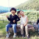 로뎀나무아래 이미지