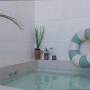 스테이수안 이미지