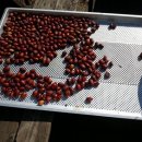 주형농장 이미지