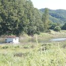 덕곡낚시터 이미지