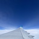 🇮🇩발리 신혼여행 가루다항공 :: 탑승 픽업 기내식 수화물 덴파사르 공항 정보 팁