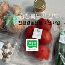 충북쌀농산 | [문스룸]충청북도 임산부 친환경농산물 지원사업 신청, 일정, 선정, 구매 *솔직 후기*│청주시 임산부