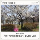 에이치인라인 | 판교 화랑공원 주차정보/물놀이장 놀이터 주말 아이랑 갈만한 곳 벚꽃 현황