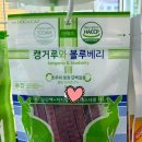 캥거루 동물병원 이미지