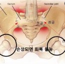 외발....앉았다 일어서기 22년9월30일 ~~23년7월12일 이미지