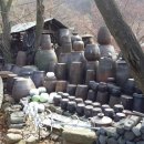 청암유원지 네이버블로그