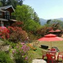 터 애견펜션 이미지