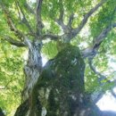 포항시남구55 이미지