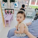 라벤더에쉬