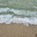 일마래 | 삼척여행 장호항 숙소 삼척 일마래펜션 201호 202호 추천하는 이유!