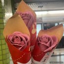 5월 홍콩여행 2일차: 초이홍 아파트, 익청맨션, 소호 완정 정복!