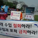 더코브