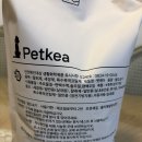 펫케아 | 애견탈취제<펫케아 피톤치드 탈취제>사용해본 후기