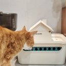 크린환경사료 이미지