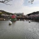 낯선 길과 낯익은 길! - 나주 월현대산에서 식산(288.9m)까지 고속도로, 처녀봉(153.2m)까지 까시잡목, 그리고 유채꽃밭 이미지