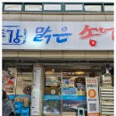 동강맑은송어 이미지