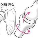 바디토크짐 이미지