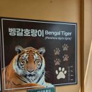 광주광역시야생동물구조관리센터 | 우치공원 동물원 방문기-2