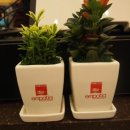 대국합기도 이미지