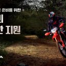 호넷컴퍼니 이미지